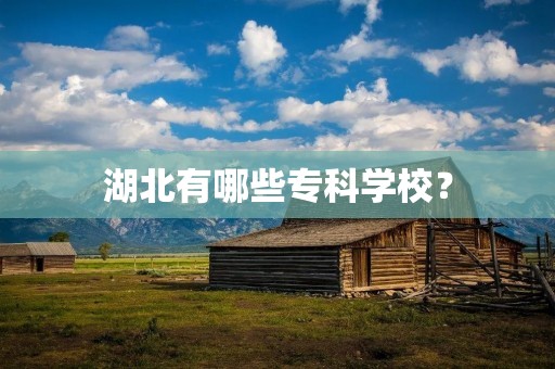 湖北有哪些专科学校?