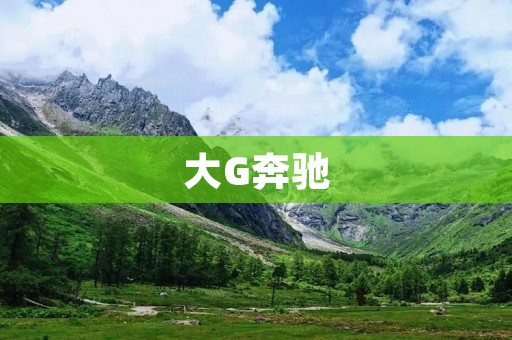 大G奔驰：豪华SUV的王者