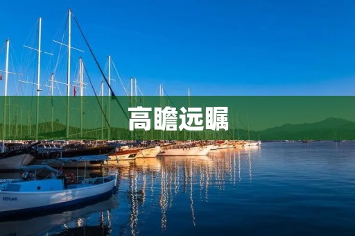 高瞻远瞩:聚焦未来,赢在变革中