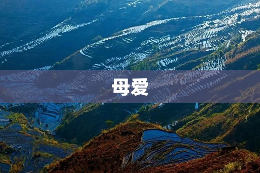 母爱:世间最伟大的情感 母爱:世间最伟大的情感