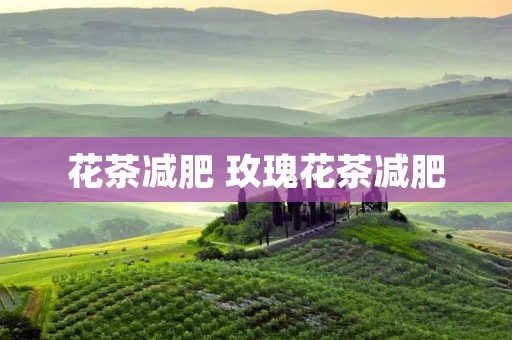 花茶减肥 玫瑰花茶减肥