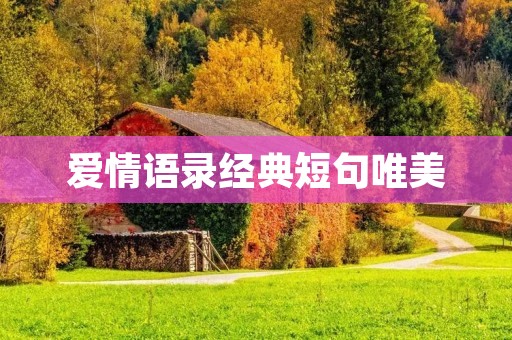 爱情语录经典短句唯美：用言语传递爱的力量