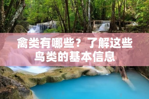 禽类有哪些?了解这些鸟类的基本信息