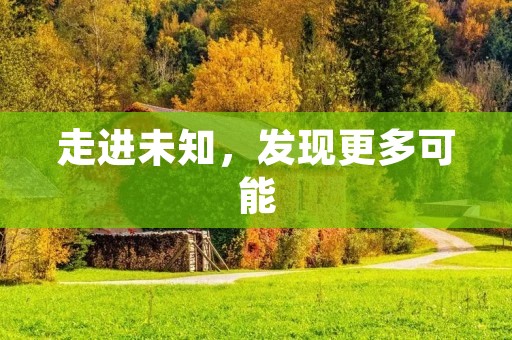 走进未知,发现更多可能 走进未知,发现更多可能