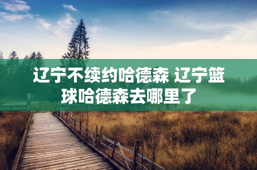 辽宁不续约哈德森 辽宁篮球哈德森去哪里了