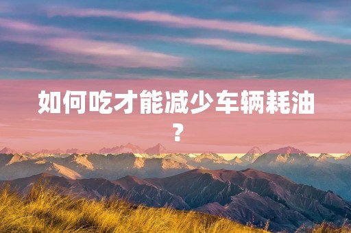 如何吃才能减少车辆耗油? 如何吃才能减少车辆耗油?
