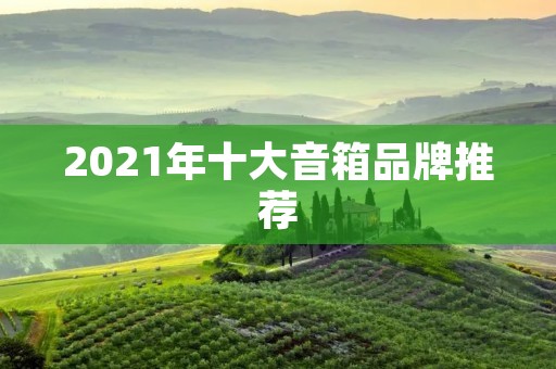 2021年十大音箱品牌推荐