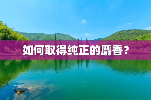 如何取得纯正的麝香? 如何取得纯正的麝香?