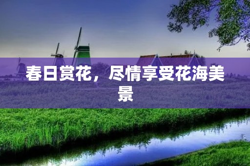 春日赏花,尽情享受花海美景