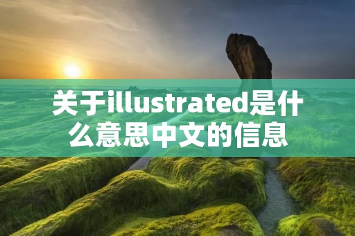 关于illustrated是什么意思中文的信息