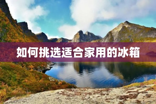 如何挑选适合家用的冰箱