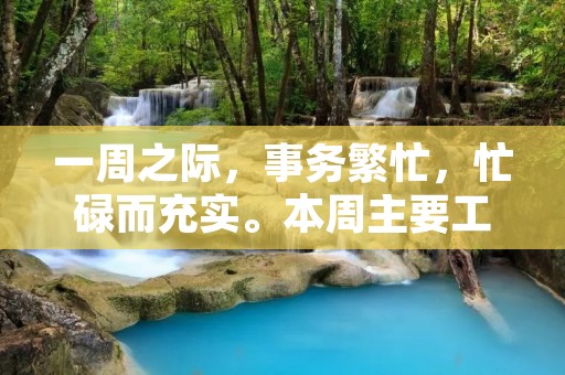 一周之际，事务繁忙，忙碌而充实。本周主要工作内容包括：会议策划、市场推广、客户沟通等。