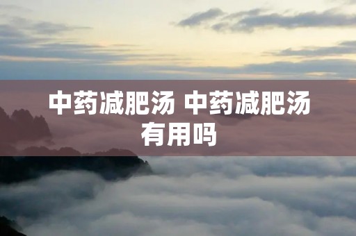 中药减肥汤 中药减肥汤有用吗