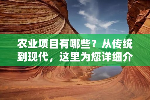 农业项目有哪些？从传统到现代，这里为您详细介绍