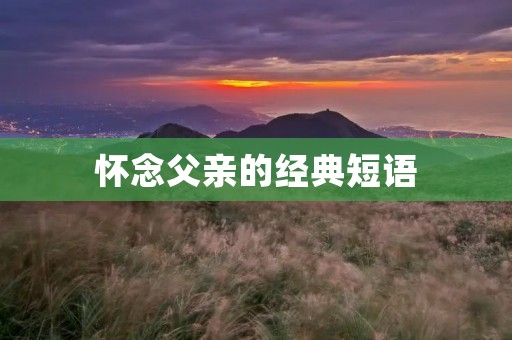 怀念父亲的经典短语