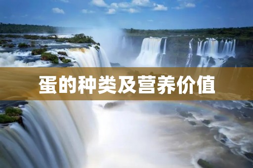 蛋的种类及营养价值