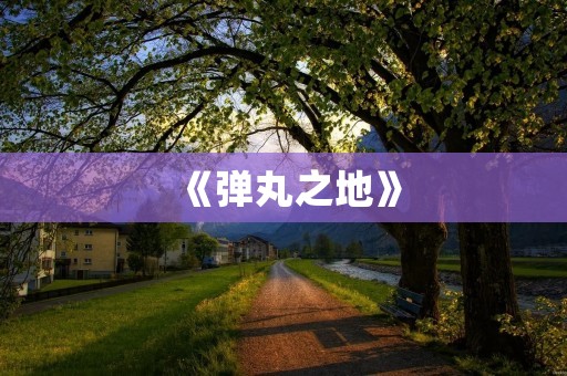 《弹丸之地》:谁是凶手? 《弹丸之地》:谁是凶手?