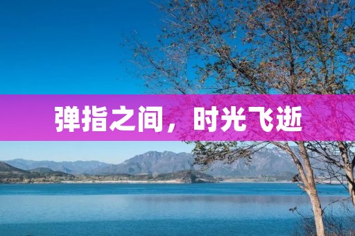 弹指之间,时光飞逝 弹指之间,时光飞逝