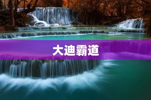 大迪霸道：豪华SUV中的王者