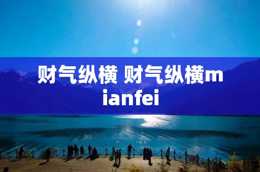 财气纵横 财气纵横mianfei