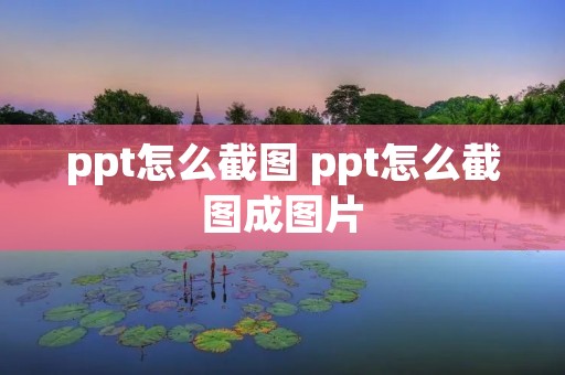 ppt怎么截图 ppt怎么截图成图片