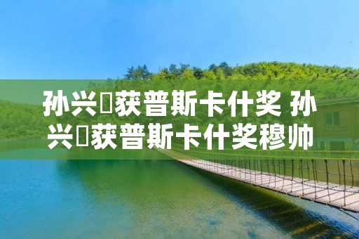 孙兴慜获普斯卡什奖 孙兴慜获普斯卡什奖穆帅