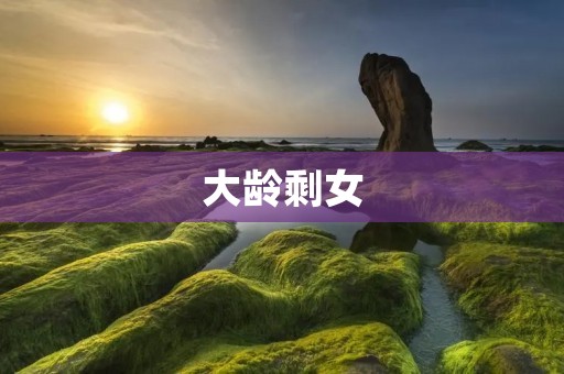大龄剩女:为什么她们越来越多? 大龄剩女:为什么她们越来越多?