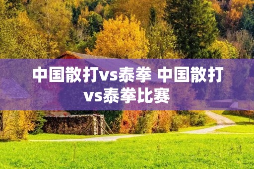 中国散打vs泰拳 中国散打vs泰拳比赛