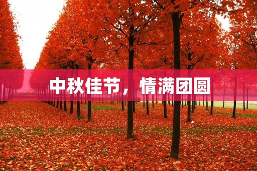 中秋佳节,情满团圆