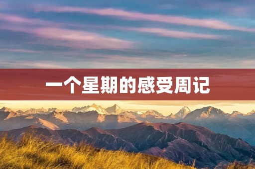 一个星期的感受周记