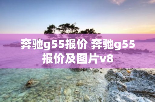 奔驰g55报价 奔驰g55报价及图片v8