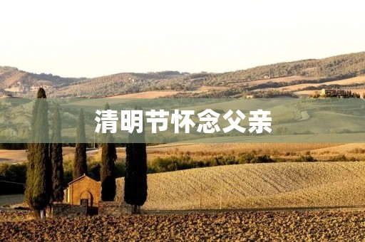 清明节怀念父亲:最经典的短语