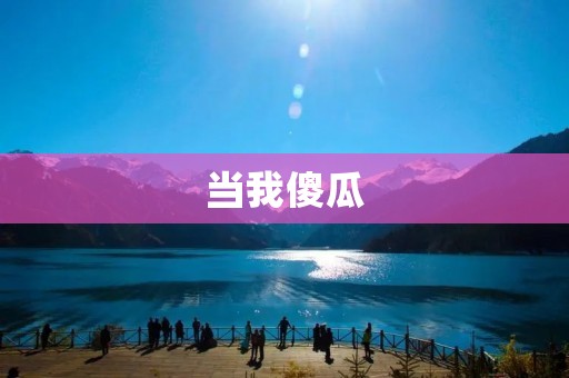 当我傻瓜：从错误中学习的人生智慧