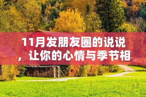 11月发朋友圈的说说,让你的心情与季节相伴