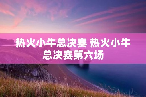 热火小牛总决赛 热火小牛总决赛第六场