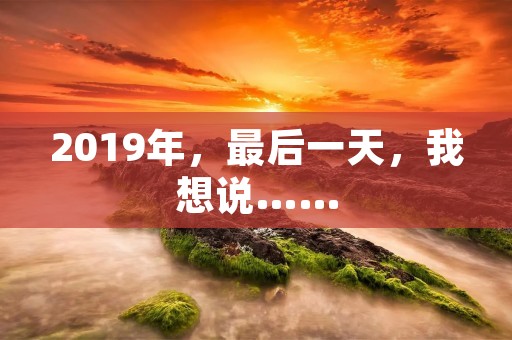 2019年,最后一天,我想说……