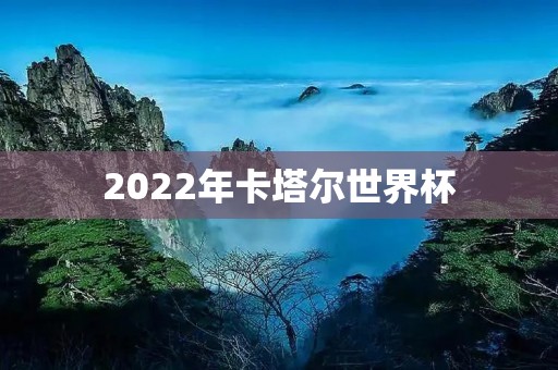 2022年卡塔尔世界杯:绿色世界杯的探索与挑战 2022年卡塔尔世界杯:绿色世界杯的探索与挑战