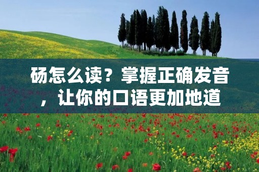 砀怎么读？掌握正确发音，让你的口语更加地道