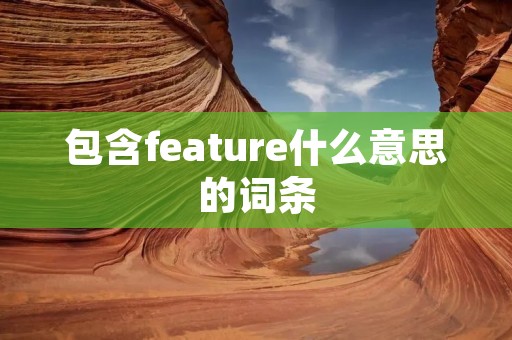 包含feature什么意思的词条
