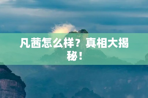 凡茜怎么样？真相大揭秘！