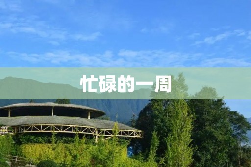 忙碌的一周 忙碌的一周