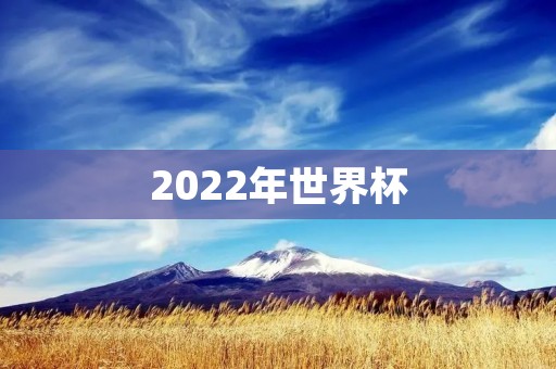 2022年世界杯：中国足球的大展宏图