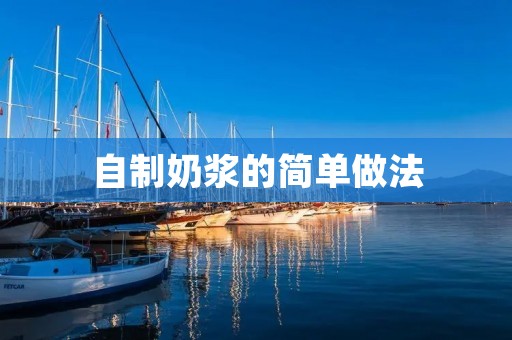 自制奶浆的简单做法