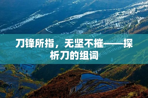刀锋所指,无坚不摧——探析刀的组词 刀锋所指,无坚不摧——探析刀的组词