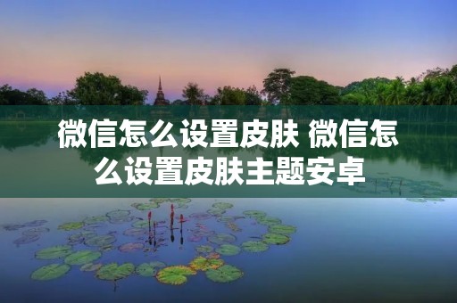 微信怎么设置皮肤 微信怎么设置皮肤主题安卓