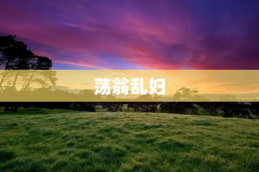 荡翁乱妇：红楼梦中的**形象探析