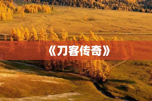 《刀客传奇》：江湖纷争，刀光剑影