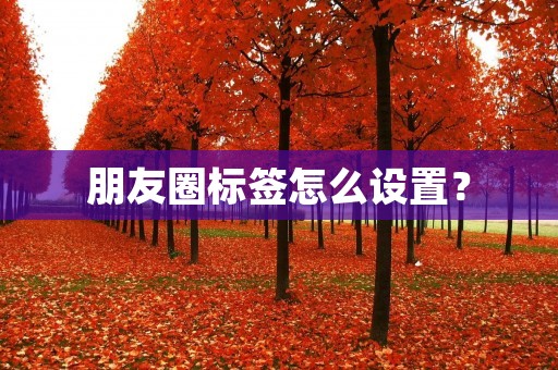 朋友圈标签怎么设置? 朋友圈标签怎么设置?