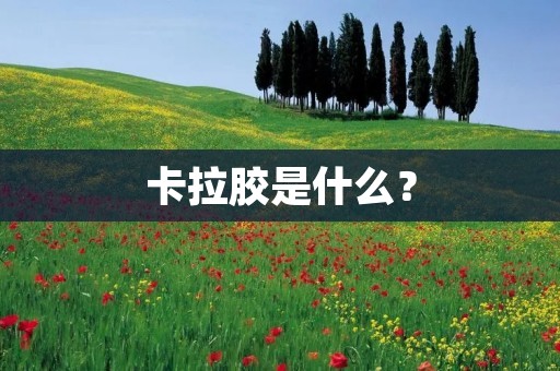 卡拉胶是什么?