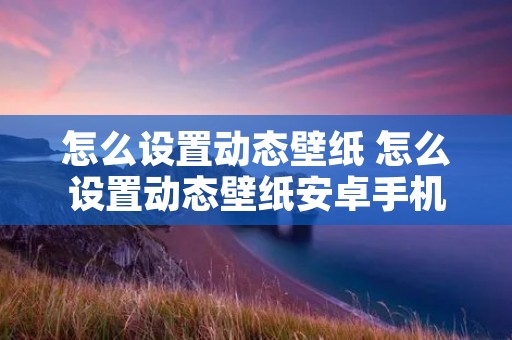 怎么设置动态壁纸 怎么设置动态壁纸安卓手机